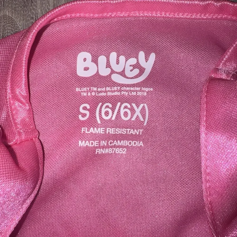 Bluey Bingo Girls Pink Nightgown Dress Size 6/6X NWT Tulle Metallic Print